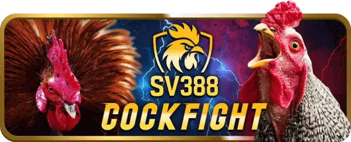 Bảo mật tối ưu King777